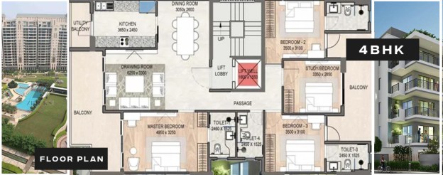 dlf arbour